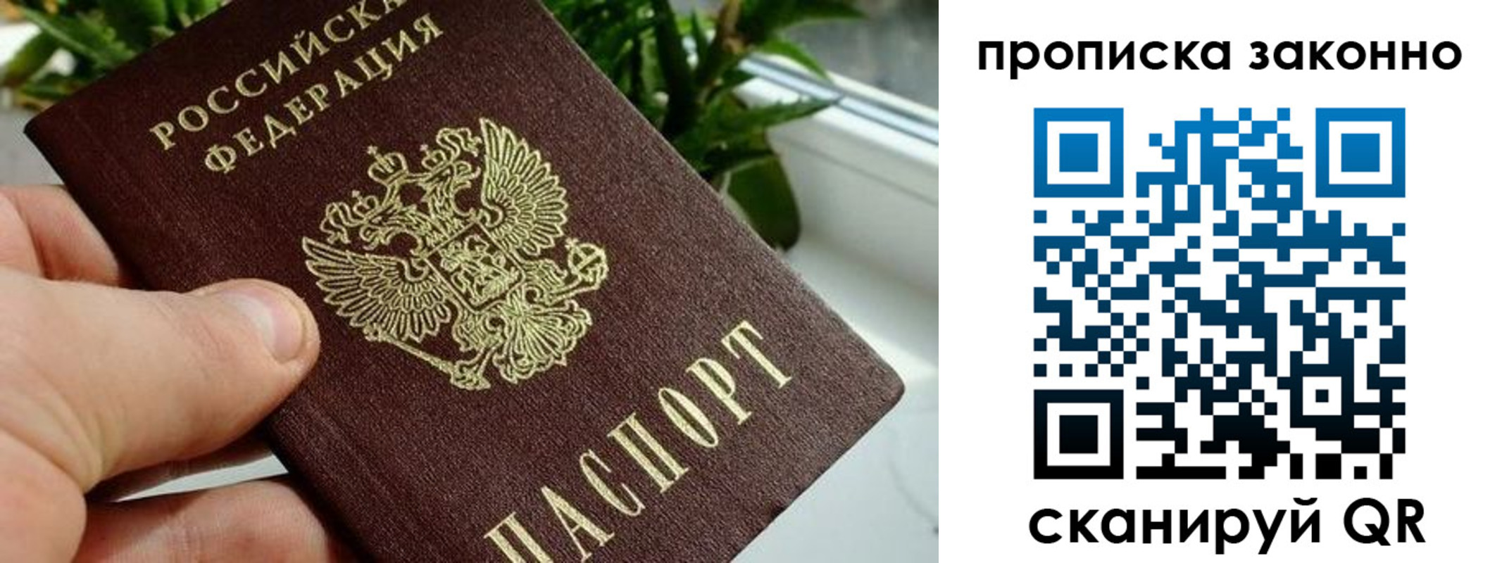 временная прописка в Берёзовском